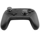 FPS Grips Destiny Grey Caps - Nintendo Switch Pro Controller